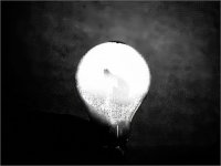 Light-and-Dark.jpg