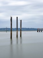 Week 20 - Light and Dark 6.JPG