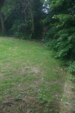 IMG_0916.jpeg