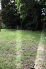 IMG_0959.jpeg