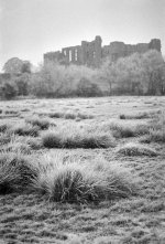 2502BPMXBW24 Frozen reeds castle.jpg