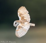 20240621-0G6A4158-Enhanced-NR-4 (1).jpg