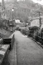 Nikon F100 06 copy.jpg