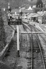 Nikon F100 11 copy.jpg