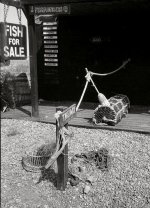 Fish for Sale.jpg