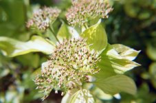 001916470010 (1).jpg