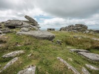 015 Gt Mis Tor 13-1442 PS Adj Upload.JPG