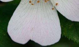 photo4.jpg