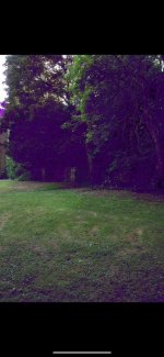 IMG_3133.jpeg