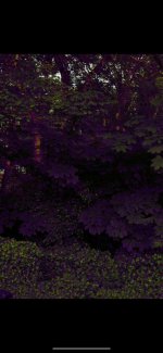 IMG_3134.jpeg