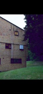 IMG_3135.jpeg