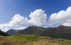 Lake District-May 2025-16.jpg