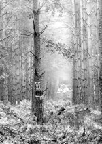 ThetfordMonoCrop2v900.jpg