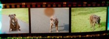 ImageUploadedByTalk Photography Forums1440615437.986601.jpg