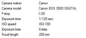 EXIF 8976.jpg
