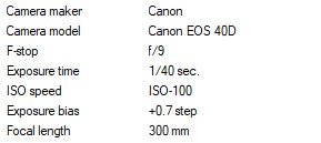 EXIF 0961.jpg