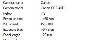 EXIF 4196.jpg