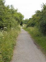 Lone Cyclist.jpg