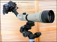 Nikon D600 fitted to Kowa TSN1 FZ82 P1010214.jpg