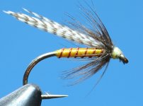 33 old fly.JPG