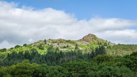 002 Leather Tor 01-1002874 PS Adj Upload.jpg