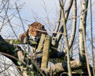 DSC_0840 copya.jpg
