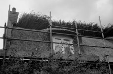 Thatching in progress.jpg