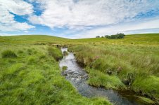 009 Teignhead Clapper Bridge &  Farm 03-1002801 PS Adj Upload.jpg