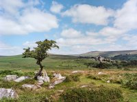 004 Vixen Tor 03 6x4.5-000157990006 PS Adj Upload.jpg