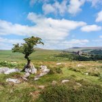 005 Vixen Tor 04-000157990007 PS Adj Upload.jpg