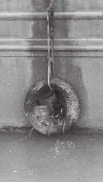 R1-00885-0017 reduced.JPG