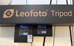 IMG_8510.jpeg