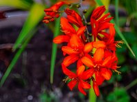 Vibrant-1.jpg