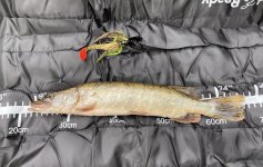 Pike.jpg