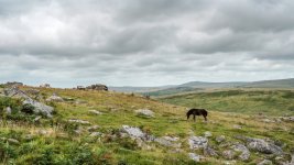 018 Little Sharpitor 03-3262 PS Adj Upload.jpg