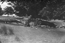 Till death us do part.jpg