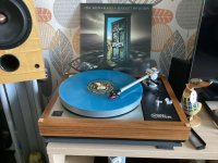 IMG_0450.jpeg