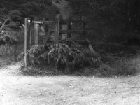 Footpath Gate.jpg