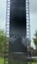 IMG_8328.jpeg