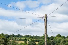 001 Telephone Pole 01-1002923 PS Adj.jpg