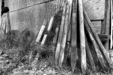 Fence posts.jpg