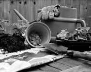 1505EVB3BW35_Adj Green fingers.jpg 1505EVB3BW35_Adj Green fingers.jpg