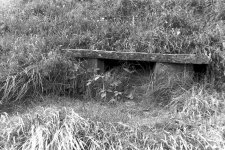 Hidden in Plain Sight.jpg