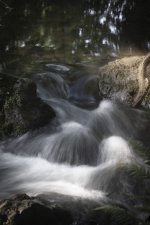 R5-20250817-_5ND8670.jpg