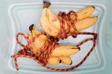 B-Bananas.jpg