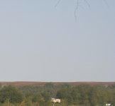 IMG_2498.jpg