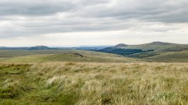 020 Hart Tor 05-4000045 PS Adj Upload.jpg