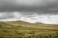 001 Sharp & Hare Tor 01-1002238 PS Adj Upload.jpg