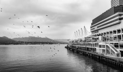 Week 35 - Snappers 5.JPG Week 35 - Snappers 5.JPG