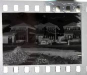 IMG_8599.jpeg